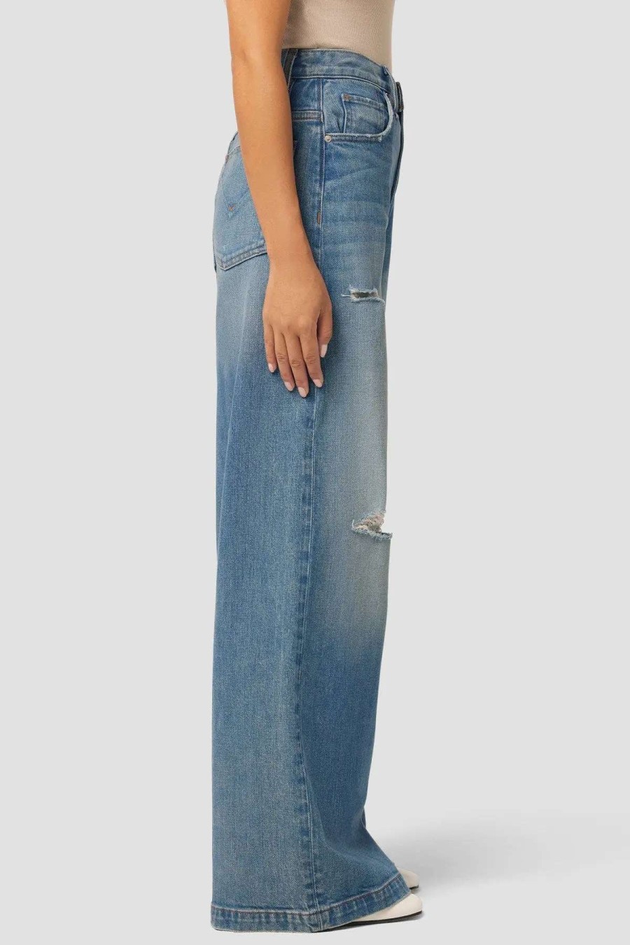 Best Hudson Jeans Mes High-Rise Wide Leg Petite Jean Coastline