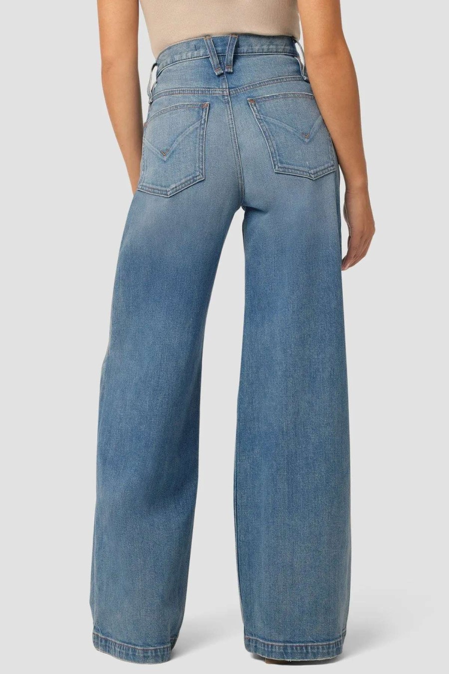 Best Hudson Jeans Mes High-Rise Wide Leg Petite Jean Coastline