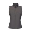 New Regatta Womens/Ladies Flux Soft Shell Bodywarmer ( ) Seal Gray/Seal Gray