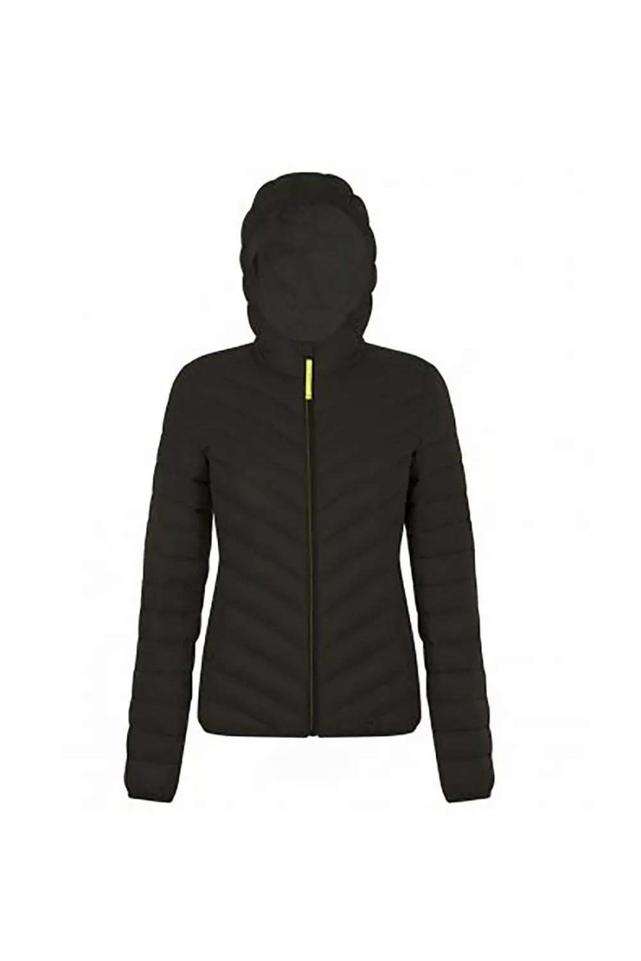 Best Sols Womens/Ladies Ray Padded Jacket ( ) Black